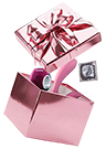 adult toy box