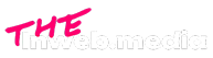 Theinweb.media Logo