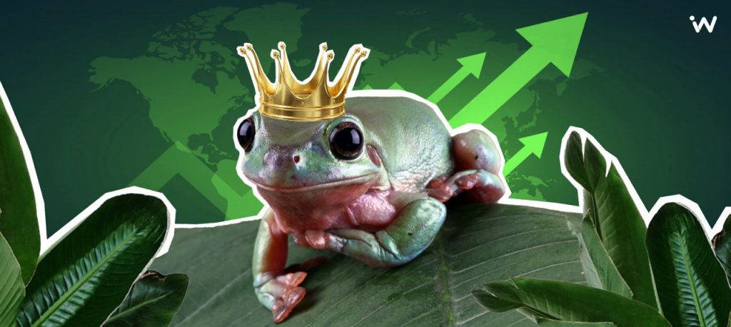 Фішки Screaming Frog, про які не знає SEO-junior