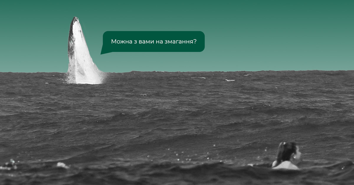 Фото: Під час Олімпійських змагань із серфінгу несподівано з'явився кит