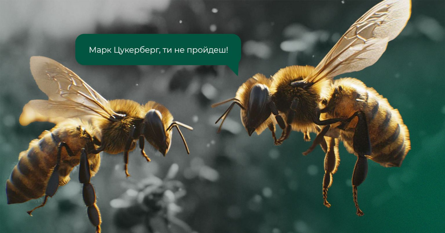Фото: Рідкісні бджоли зупинили будівництво ядерного датацентру Meta