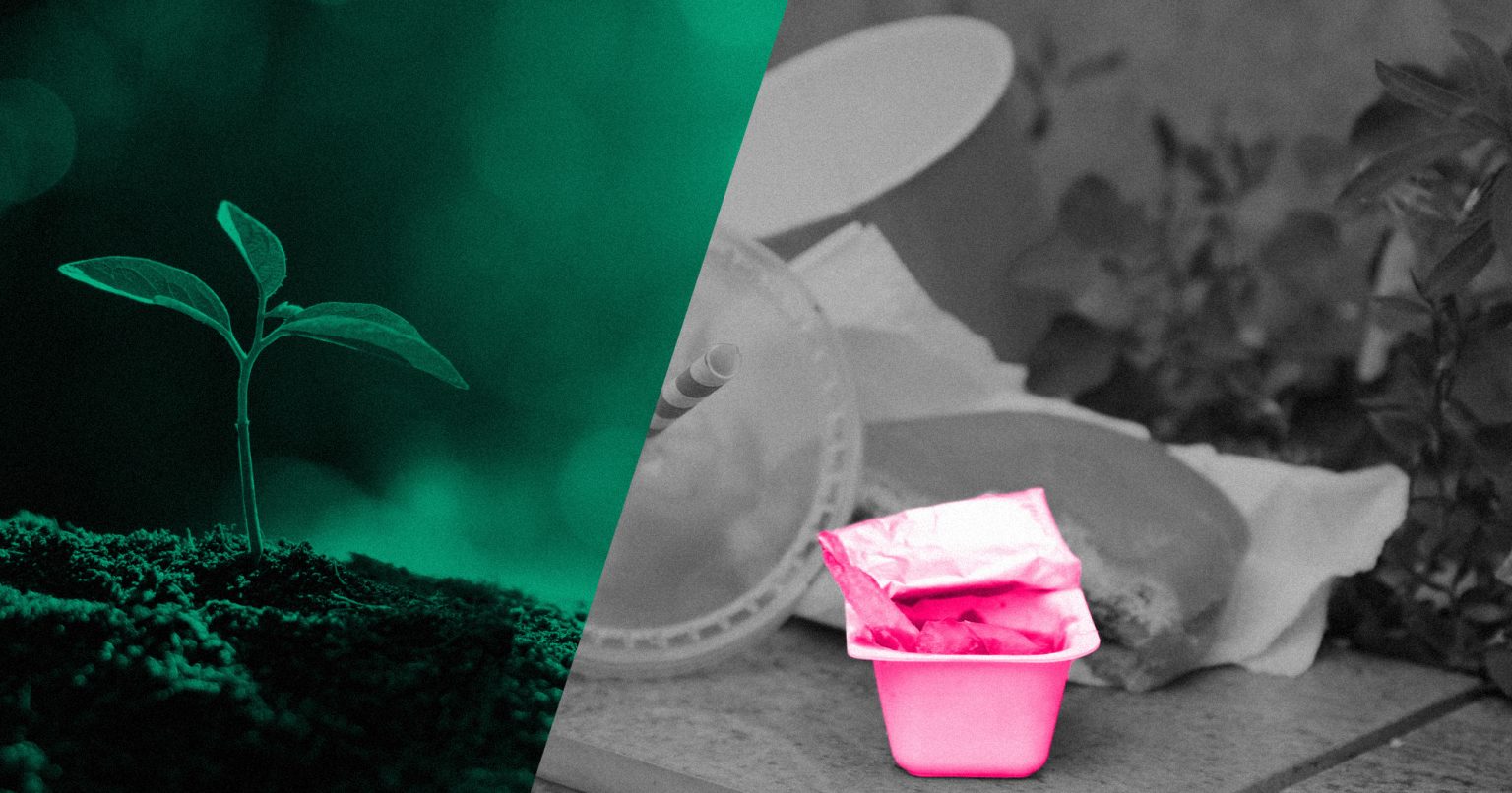 Фото: Кліматично свідомі споживачі частіше обирають фастфуд — дослідження Northwind Climate