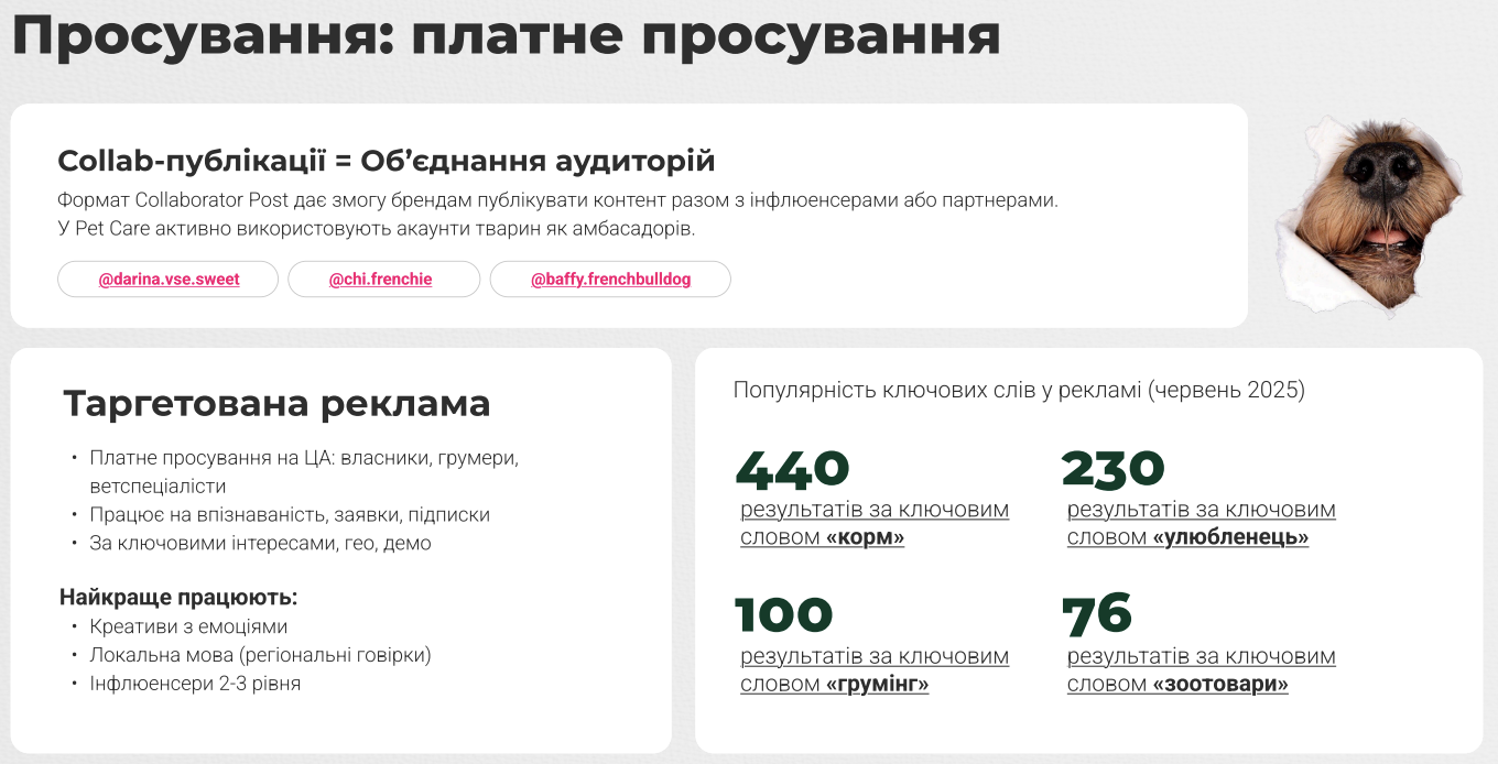 Дослідження ринку SMM у сфері зоотоварів: як просувати Pet Care в соцмережах