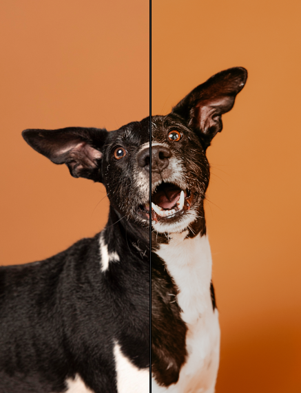 Фото: Еволюція SMM-дизайну: шлях від упакування профілю до дизайн-системи