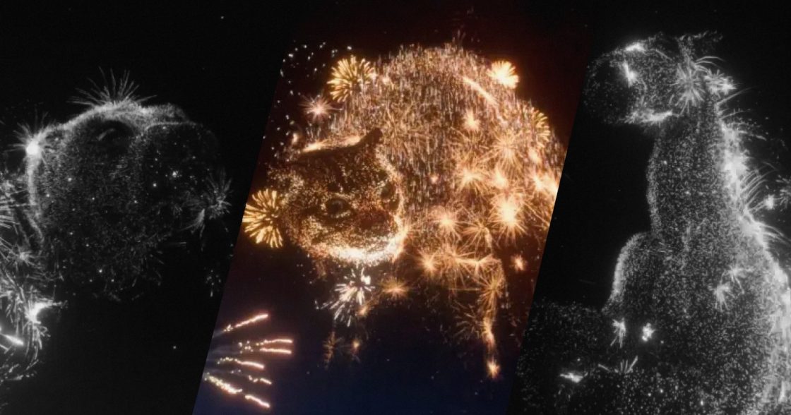 У Греції запустили кампанію про негативний вплив феєрверків на тварин