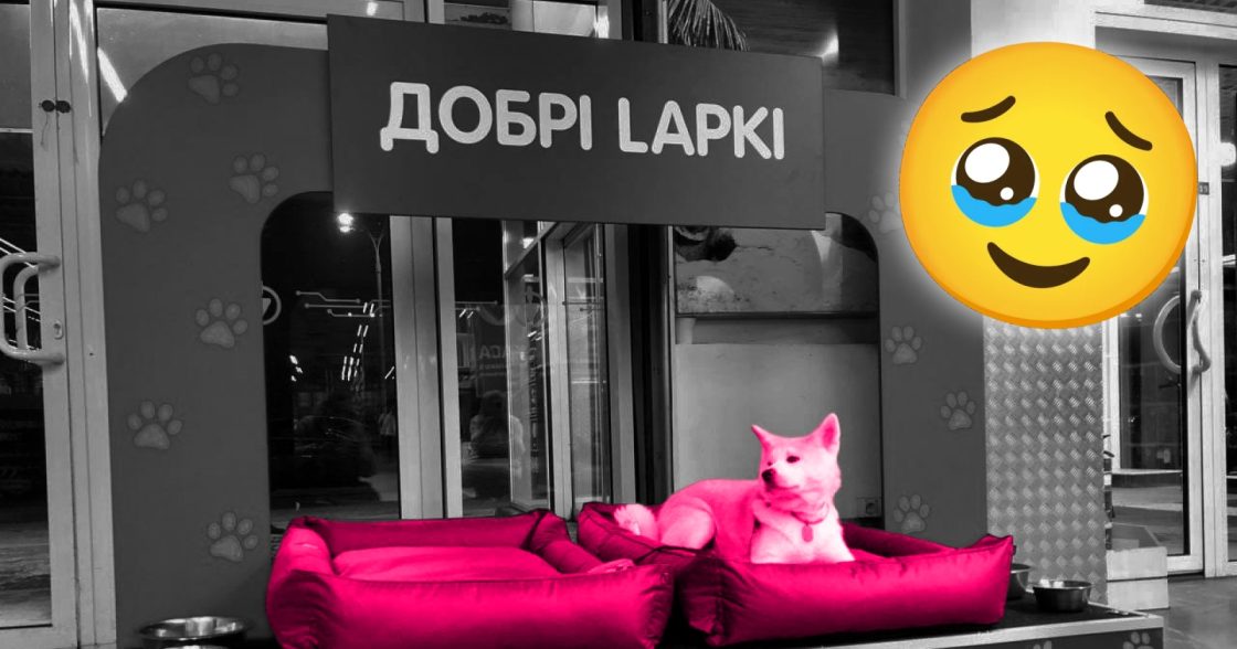 В Епіцентрі відкрили постійні зони для тварин «Добрі Lapki»