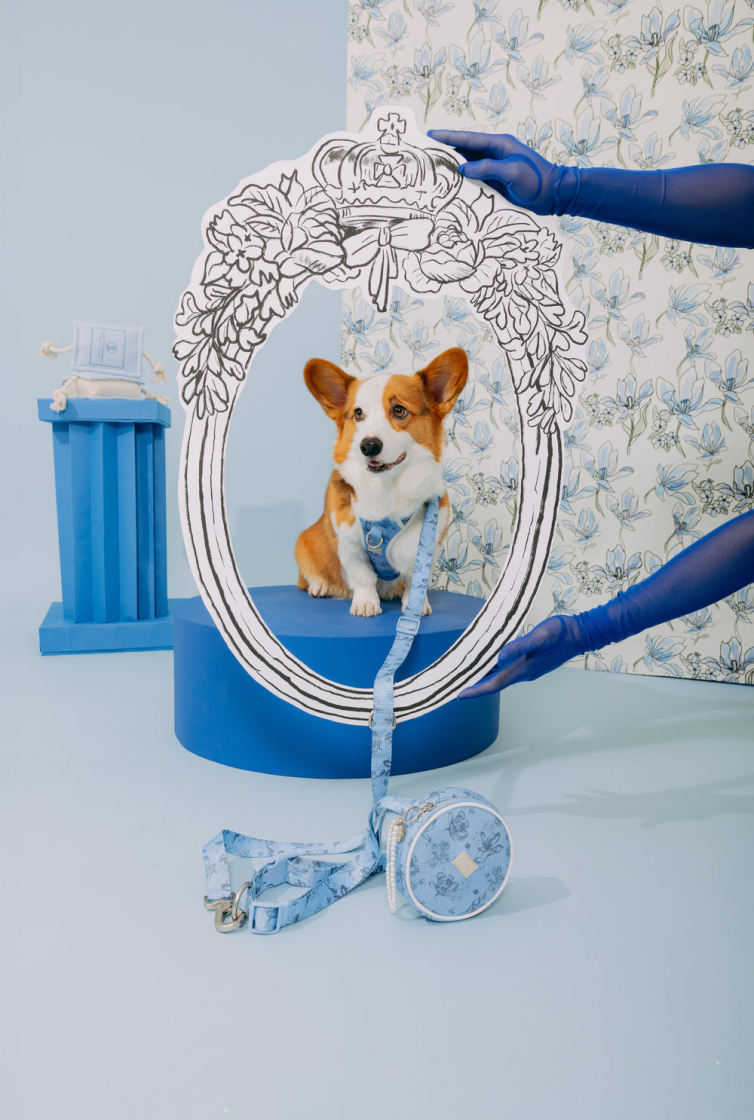 Колекція для домашніх тварин maxbone — бріджертони 