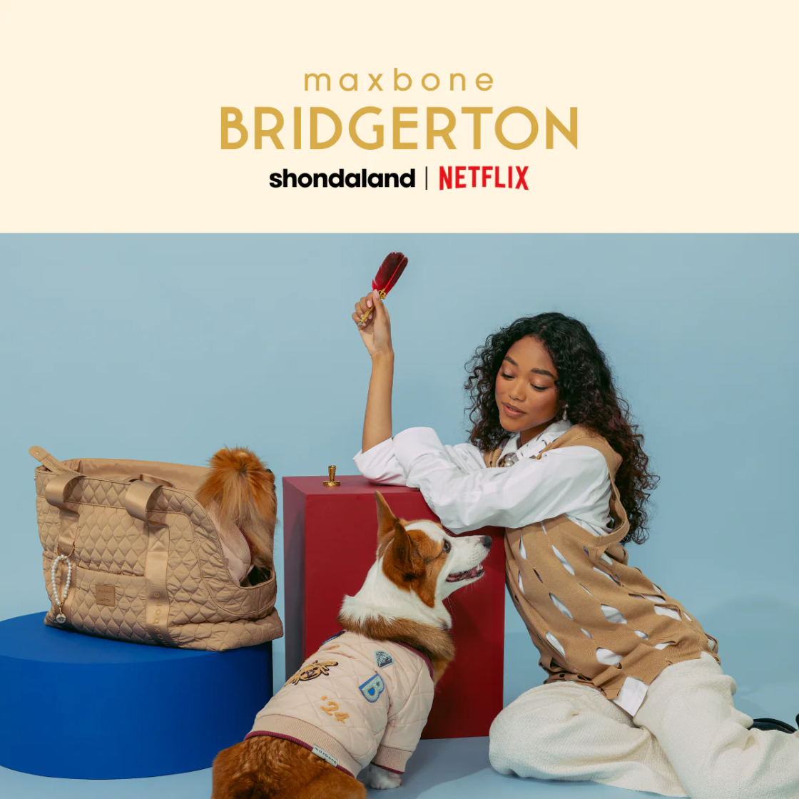 Колекція для домашніх тварин maxbone — бріджертони 