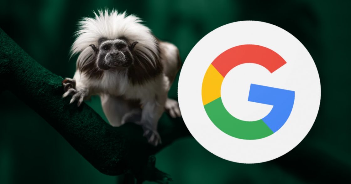 Google допомагає зберегти генетичні дані зникаючих видів за допомогою ШІ