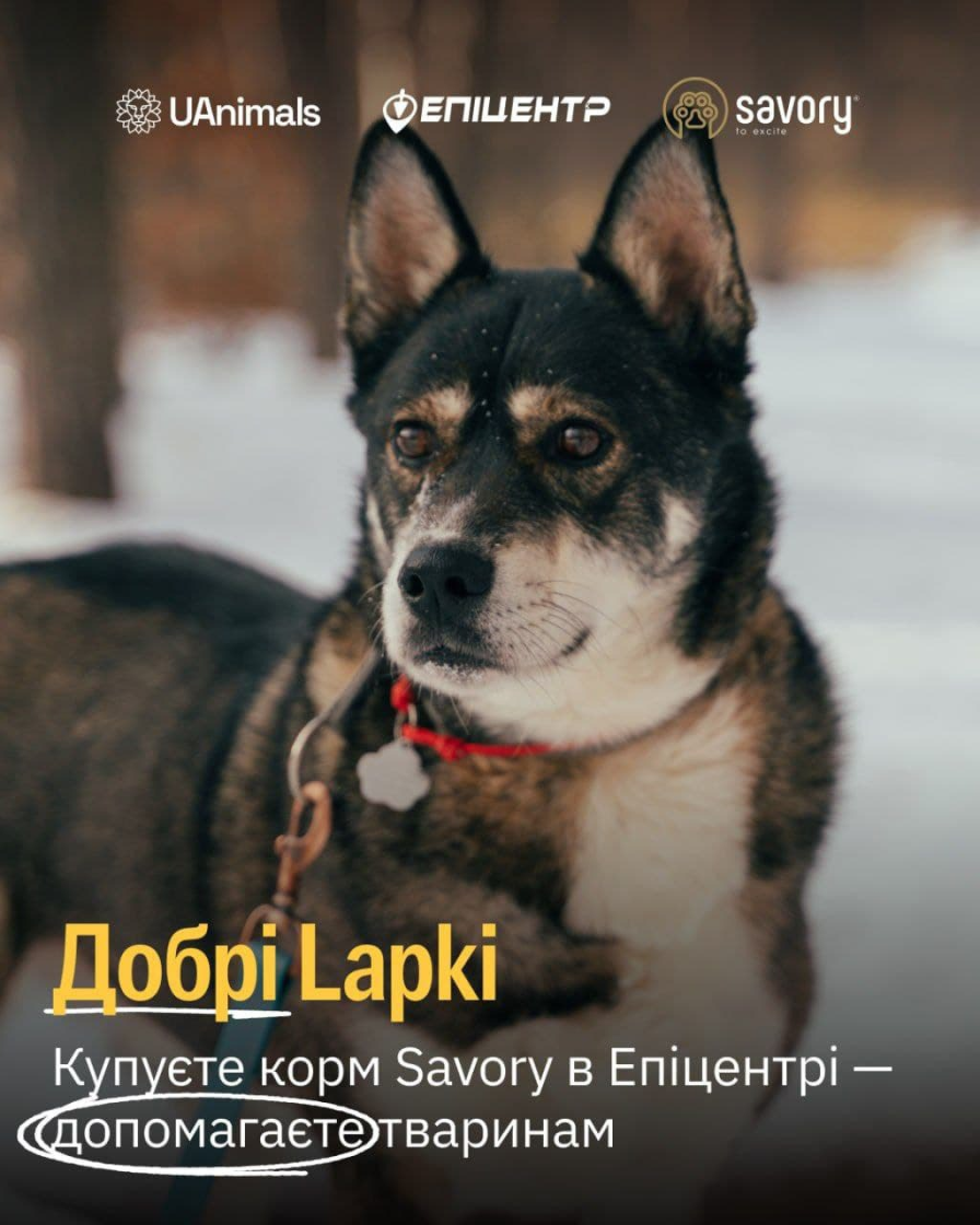 Фото: Як бізнес може допомогати, окрім донатів, — кейси українських благодійних фондів