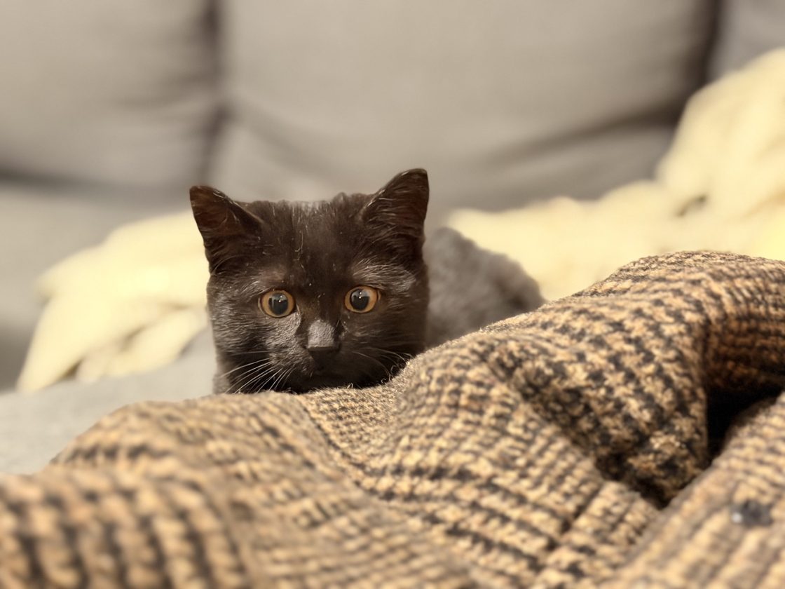 Фото: «Загальне правило бізнесу в адаптації ветеранів — не нашкодити» — інтерв’ю з Масі Найємом, засновником юридичної компанії Miller