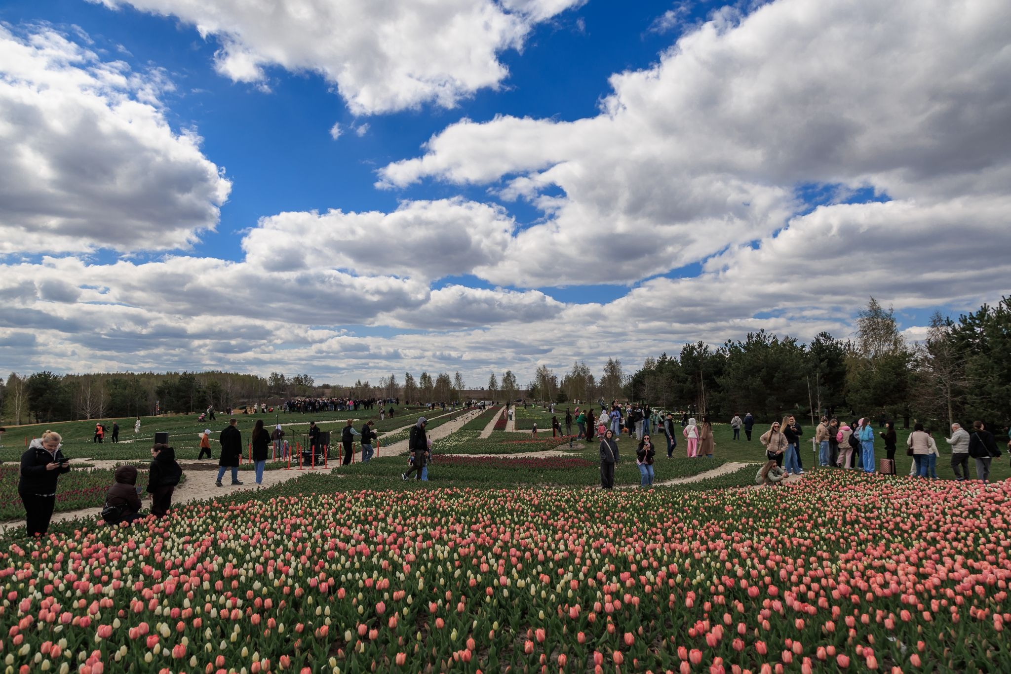 «У нашому житті зараз потрібно більше краси, більше культури, більше історії» — інтервʼю з Ігорем Добруцьким, засновником Добропарку