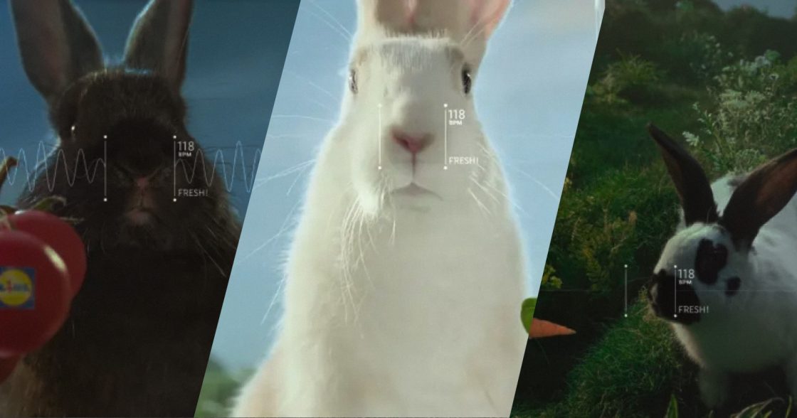 Супермаркет Lidl у новій кампанії використав кроликів як індикатор свіжості овочів і фруктів