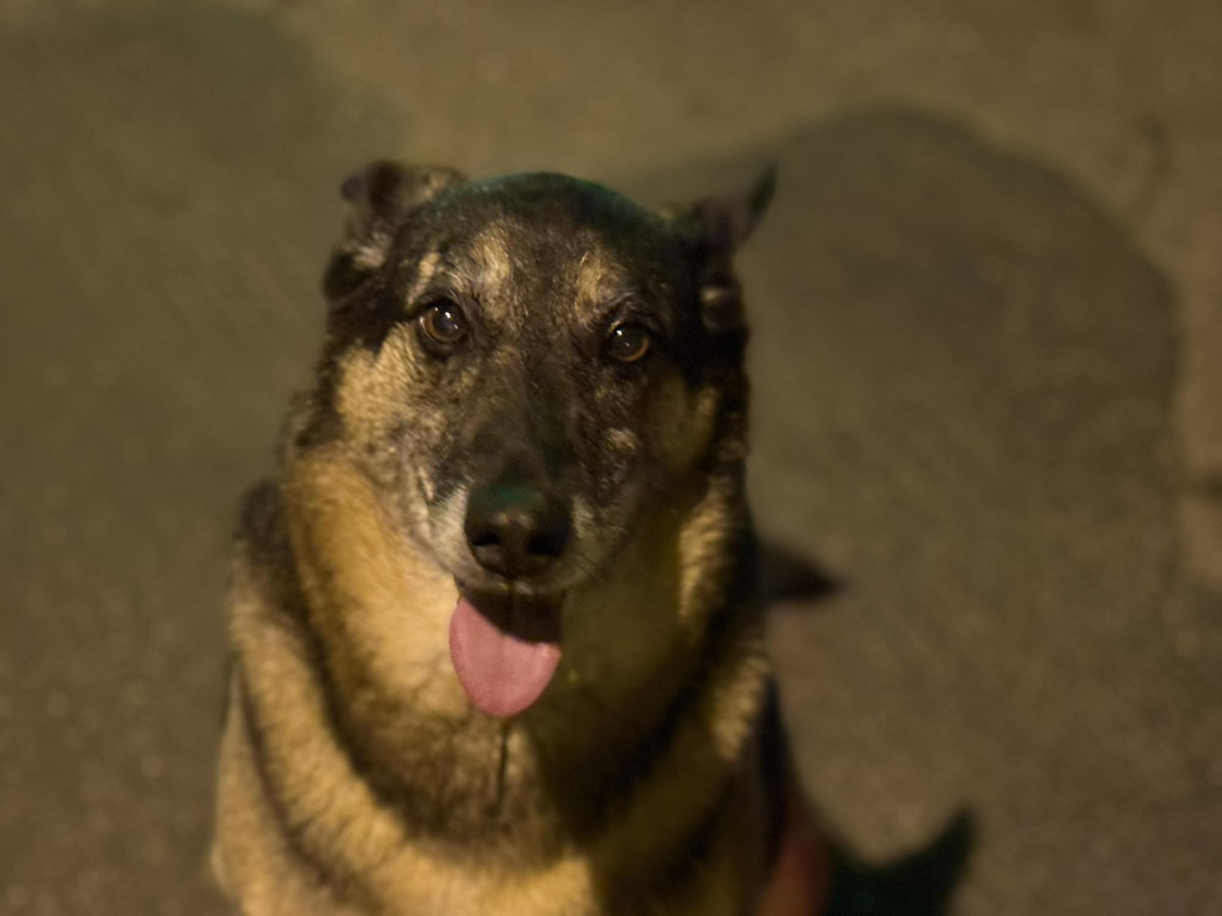 Фото: «Загальне правило бізнесу в адаптації ветеранів — не нашкодити» — інтерв’ю з Масі Найємом, засновником юридичної компанії Miller