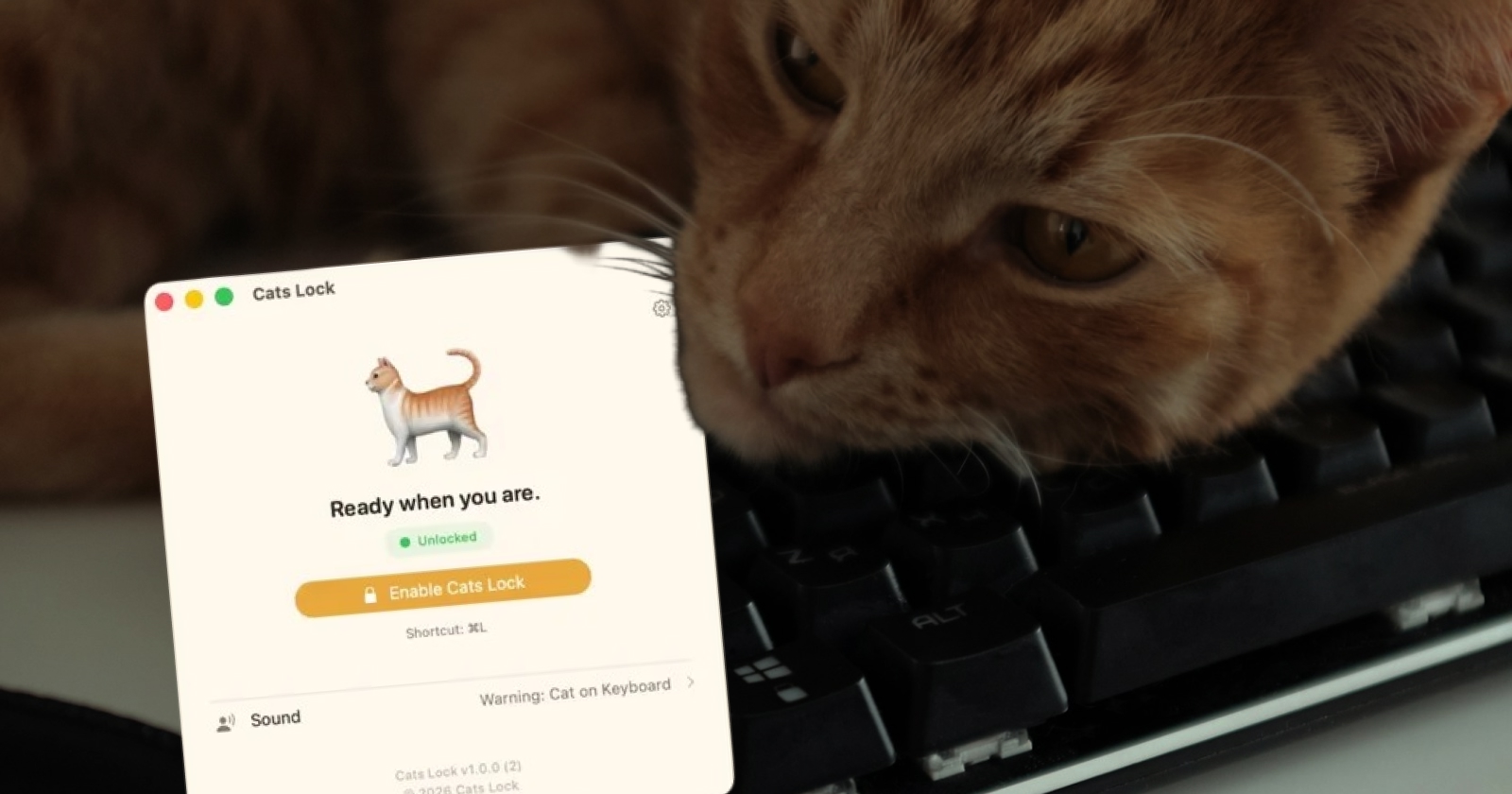 Cats Lock для macOS блокує клавіатуру від котів, які ходять по ноутбуку