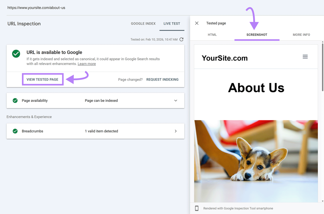 Фото: Як працювати з основними звітами Google Search Console у 2026 році — інструкція Semrush